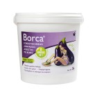 BORCA Κοκκοποιημένο ανθρακικό ασβέστιο με βόριο 3 kg Εδαφοβελτιωτικά